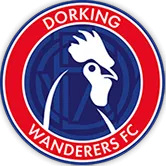 Dorking Wanders Football Club logo